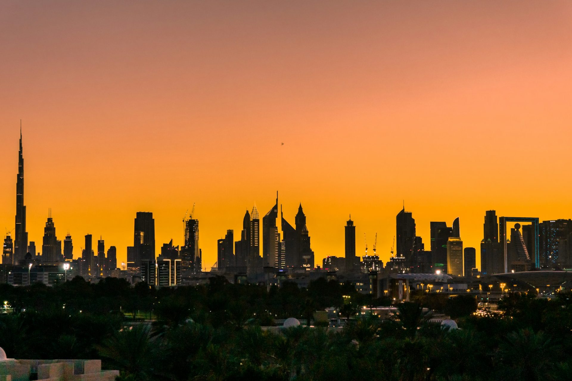 nathan-john-EX-DhiCkjyA-unsplash